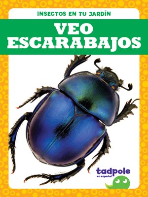 cover image of Veo escarabajos (I See Beetles)